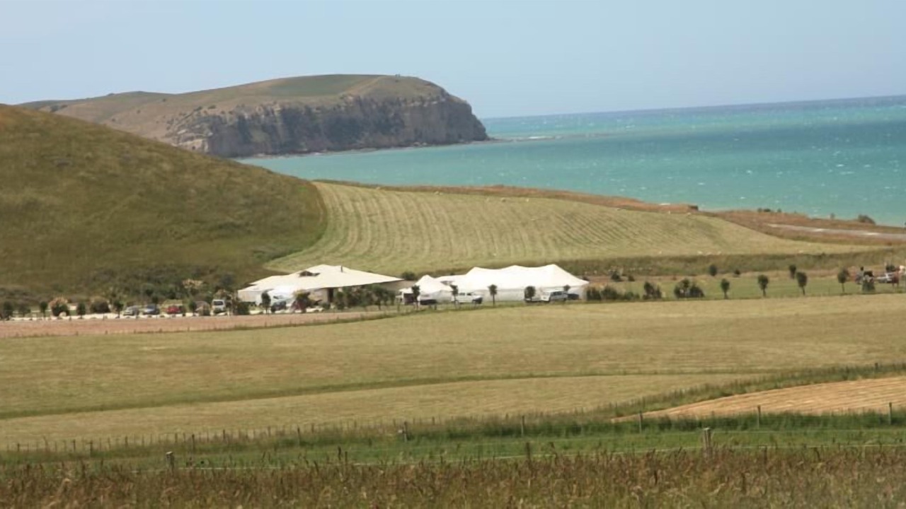 Photo of Outdoor in Awamoa