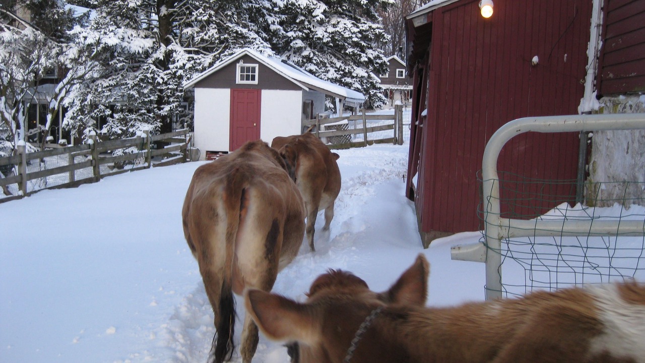 Photo of Others in Coopersburg