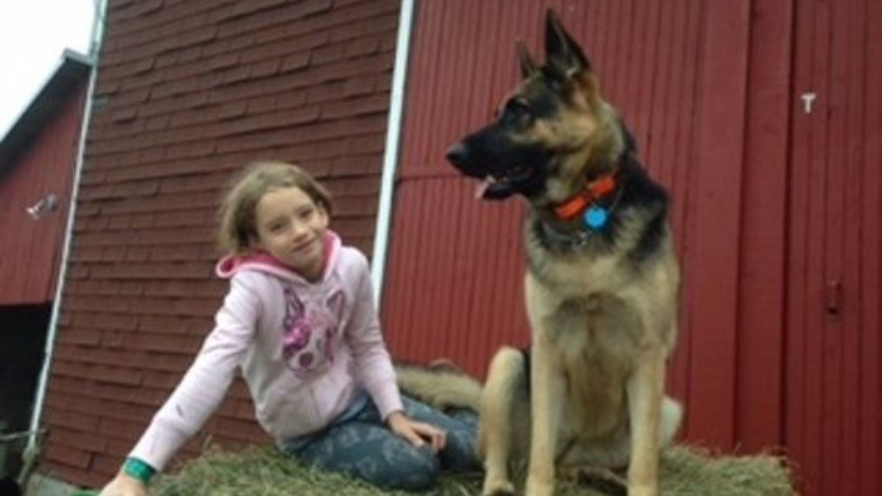 Photo of Others in Coopersburg