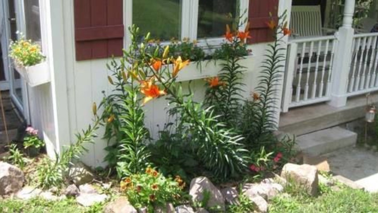 Photo of Others in Coopersburg