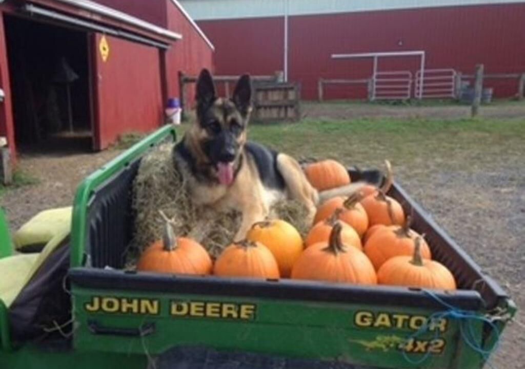 Photo of Others in Coopersburg