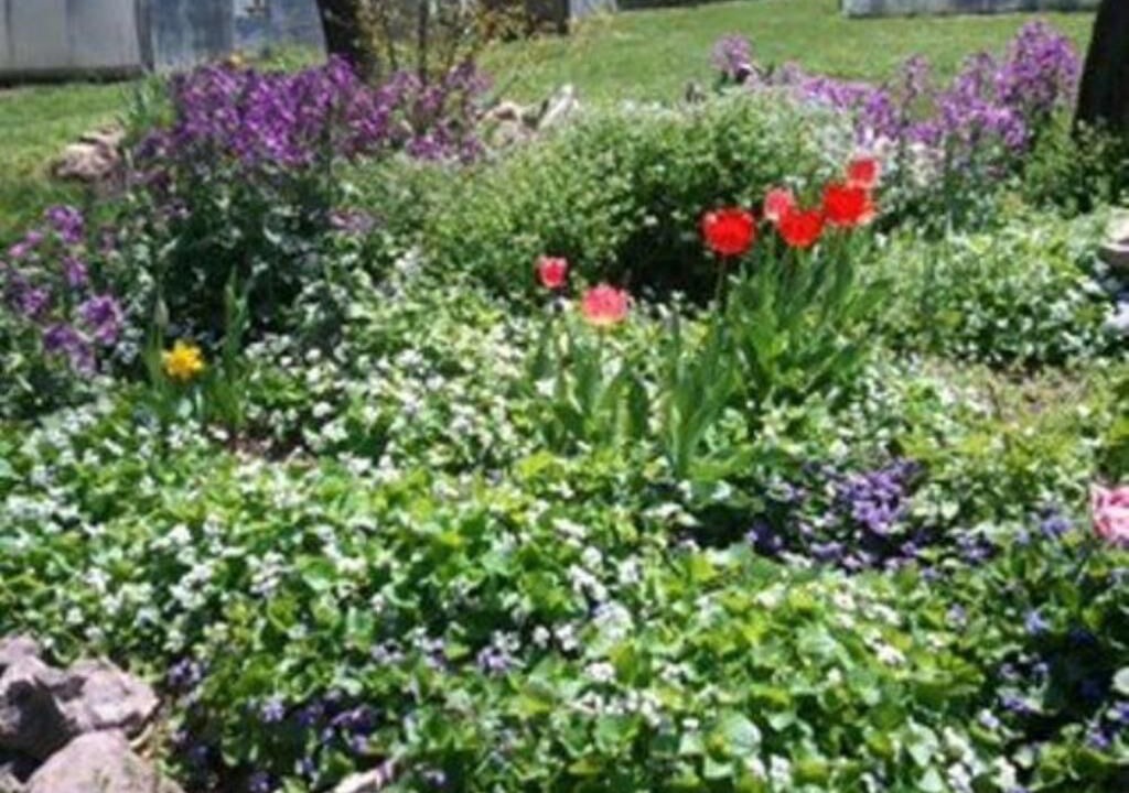 Photo of Others in Coopersburg