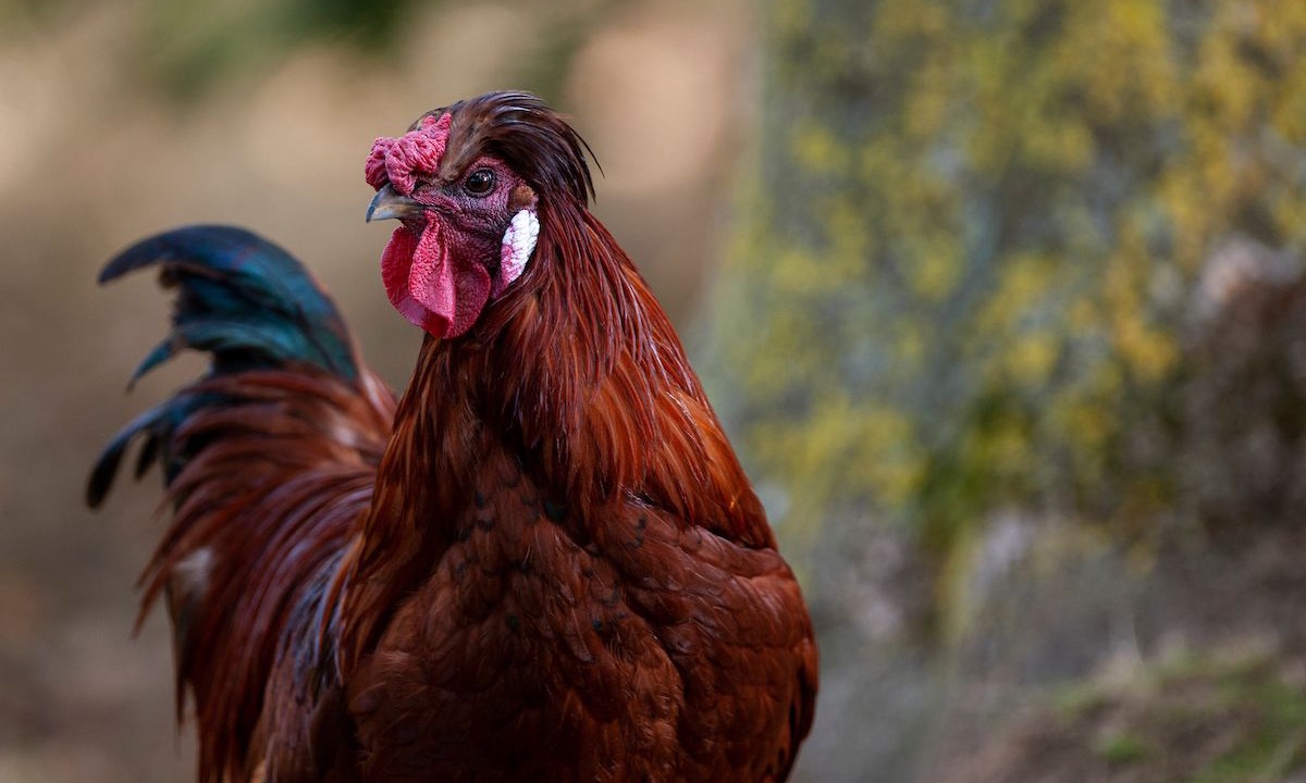 Photo of Outdoor in Westmarsh