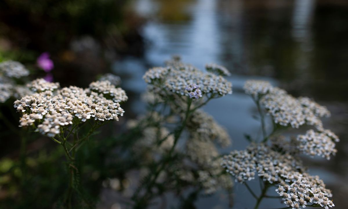 Photo of Outdoor in Westmarsh