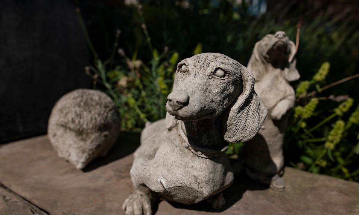 Photo of Outdoor in Westmarsh