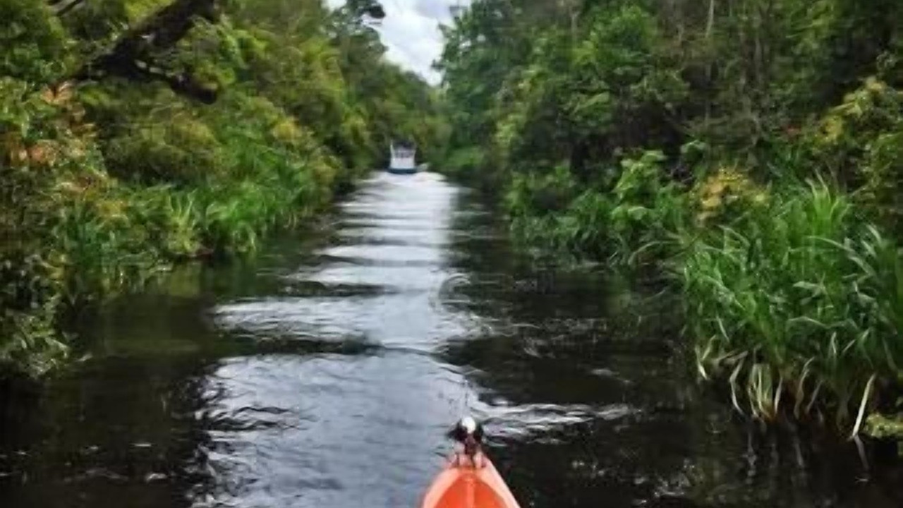 Photo of Outdoor in Kumai