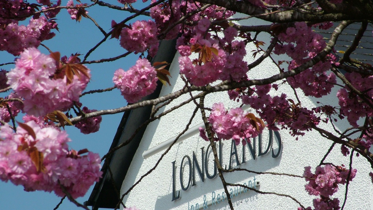 Photo of Outdoor in Tewitfield