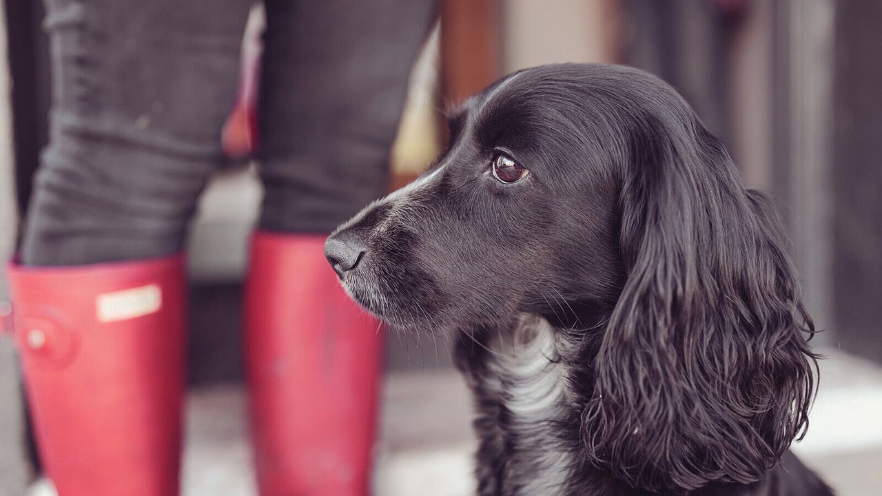 Photo of Others in Tewitfield