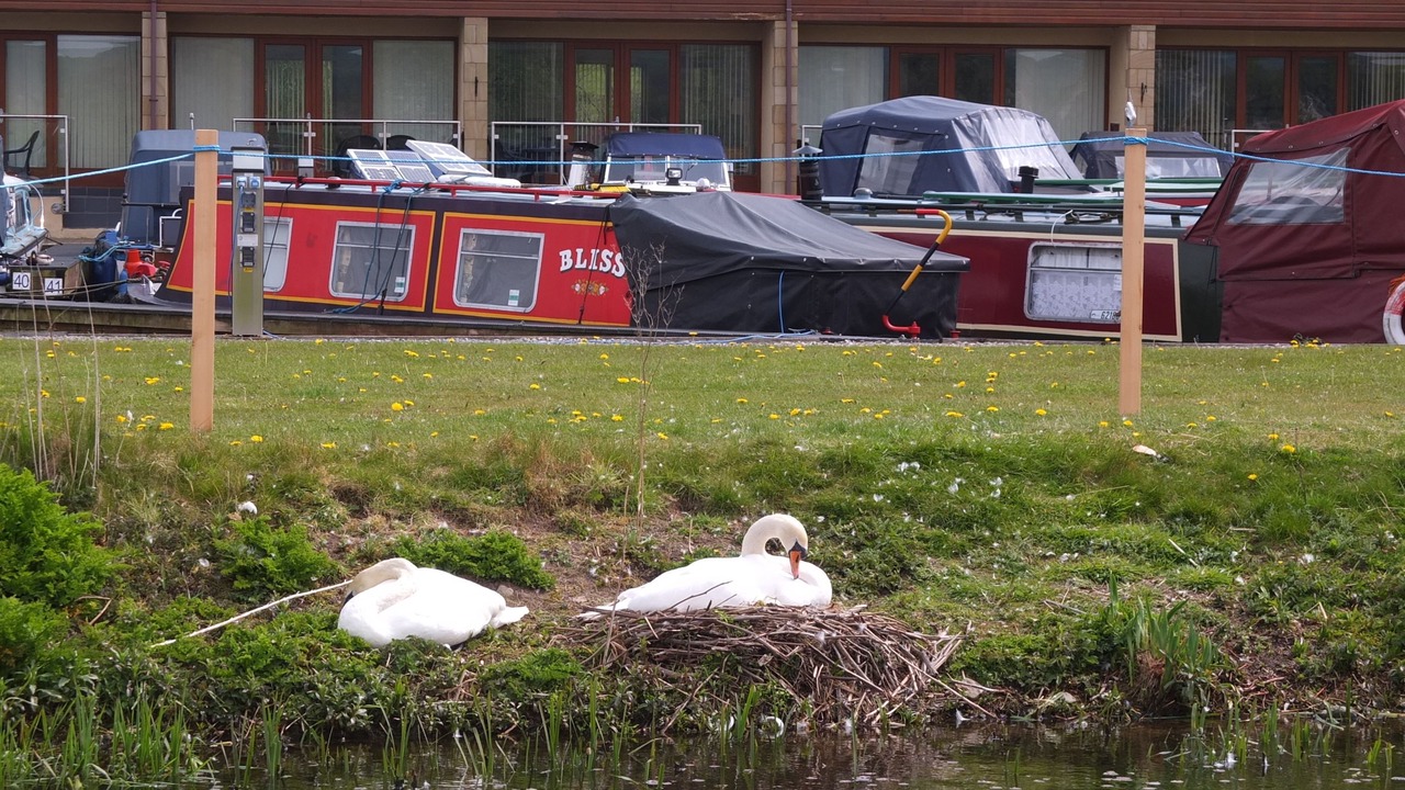 Photo of Outdoor in Tewitfield