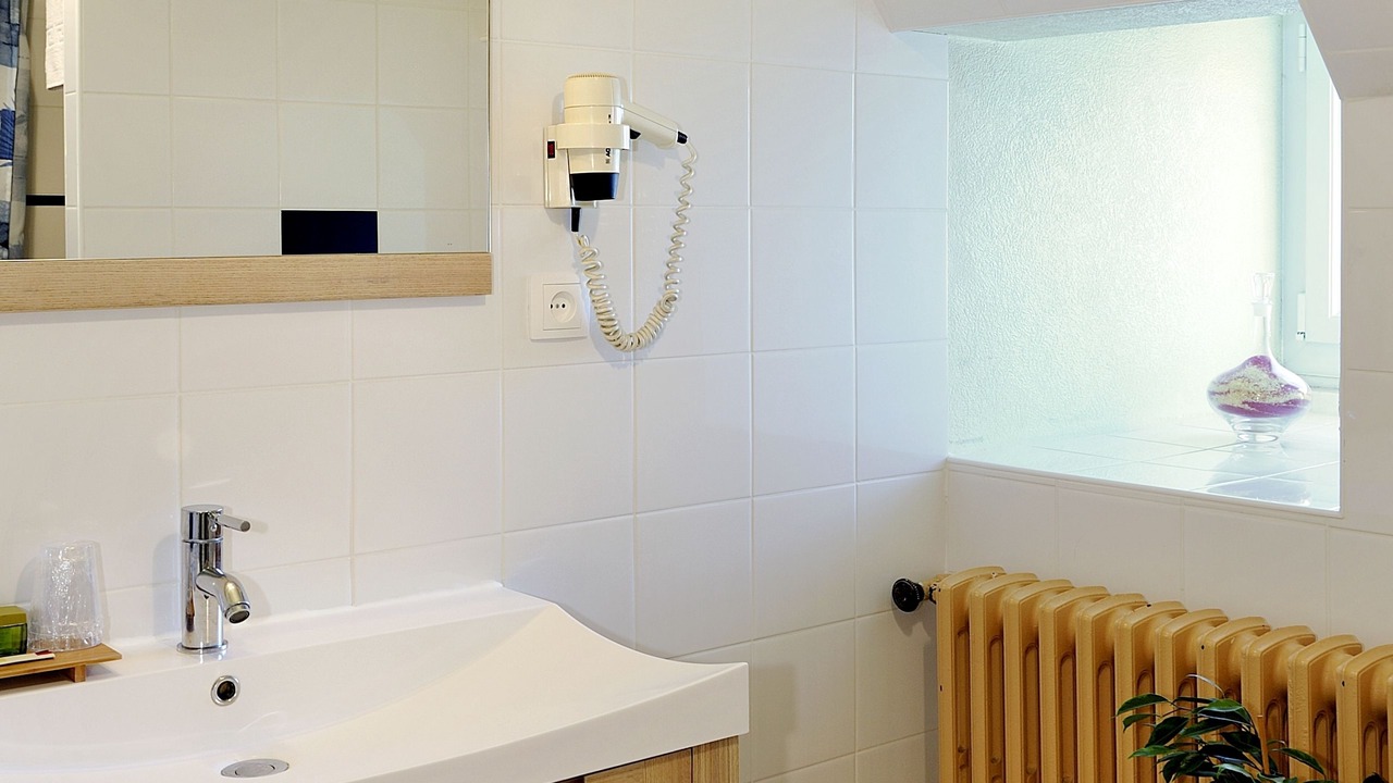 Photo of Bathroom in Saint-Martin-le-Beau