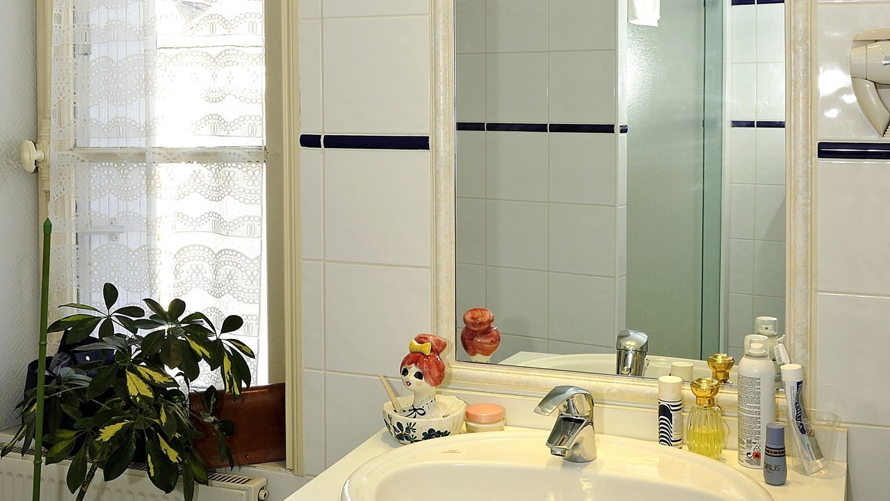 Photo of Bathroom in Saint-Martin-le-Beau