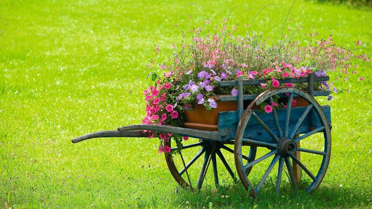 Photo of Outdoor in Hauterives