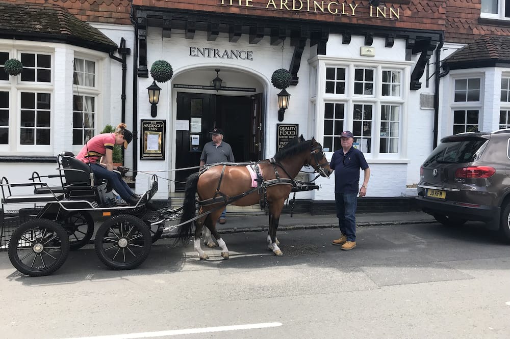 Photo of Outdoor in Ardingly