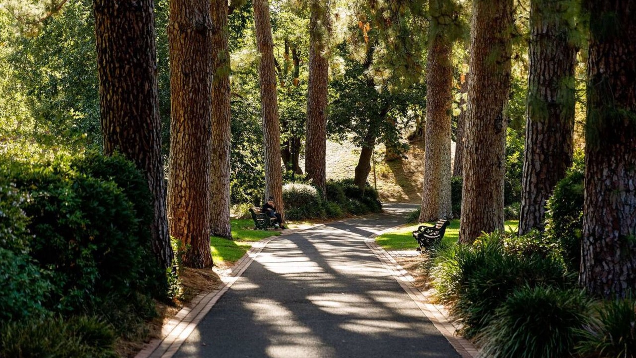 Photo of Others in Bendigo