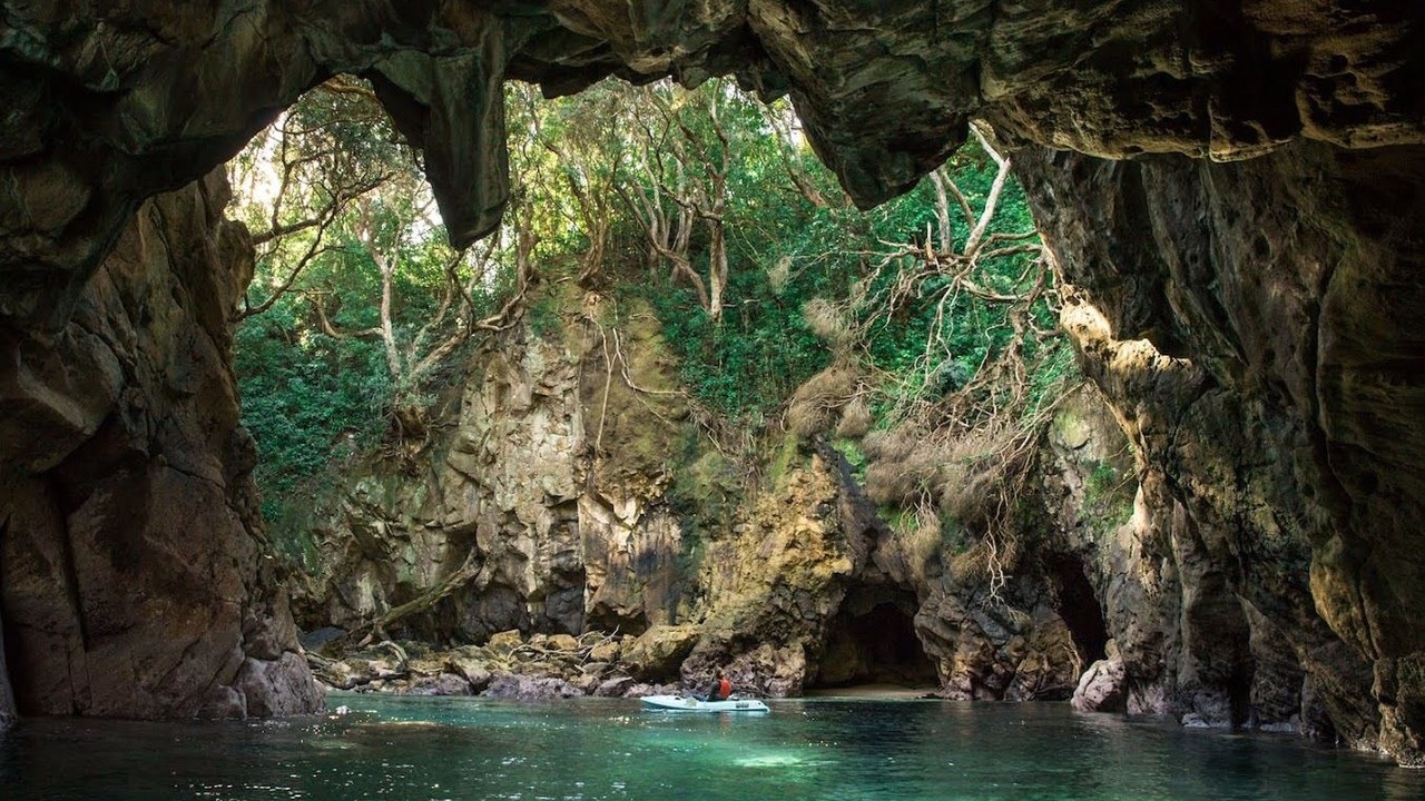 Photo of Others in Whangamata