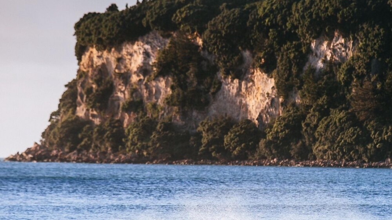 Photo of Others in Whangamata