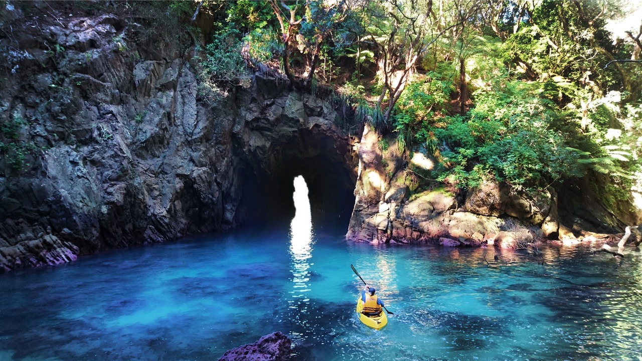 Photo of Others in Whangamata