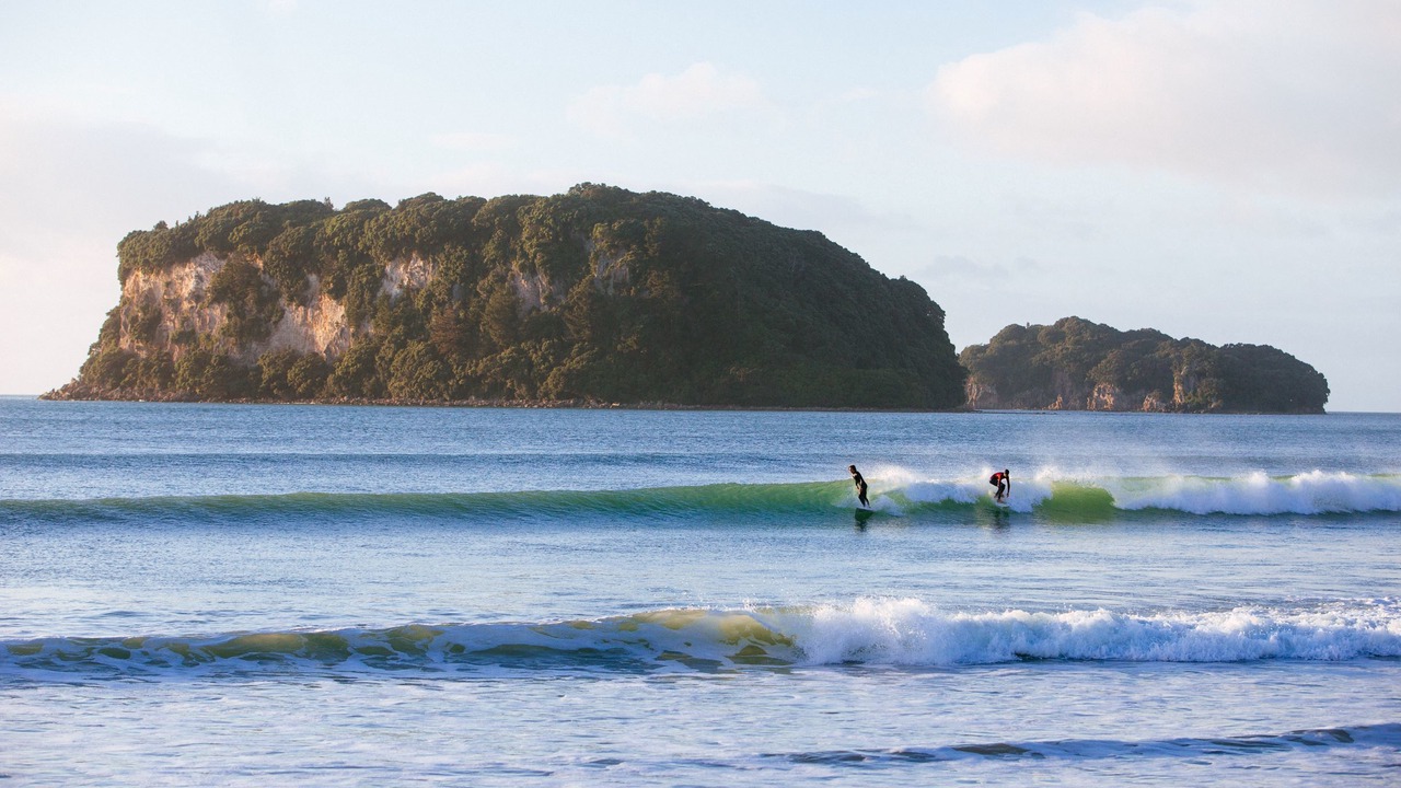 Photo of Others in Whangamata
