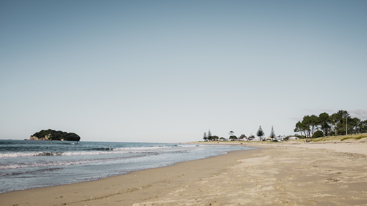 Photo of Others in Whangamata