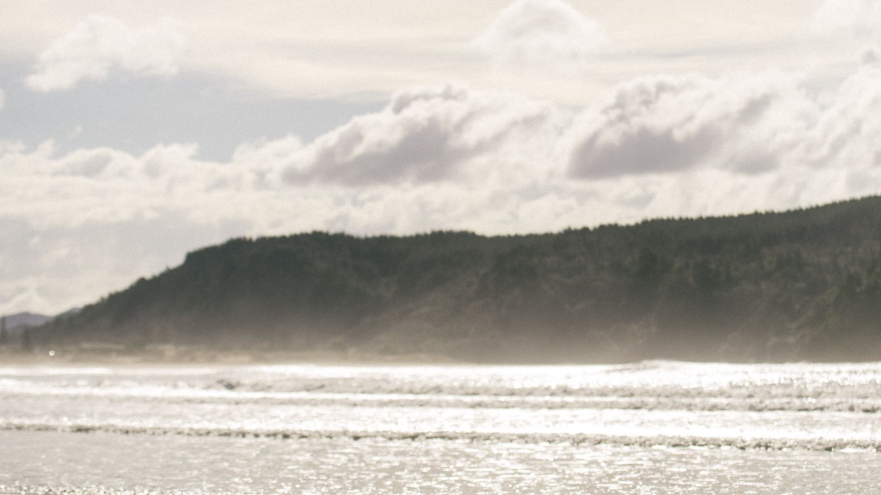 Photo of Others in Whangamata