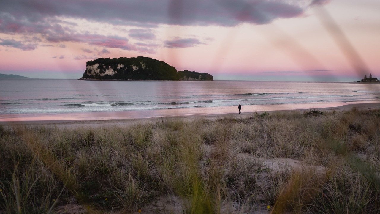 Photo of Others in Whangamata