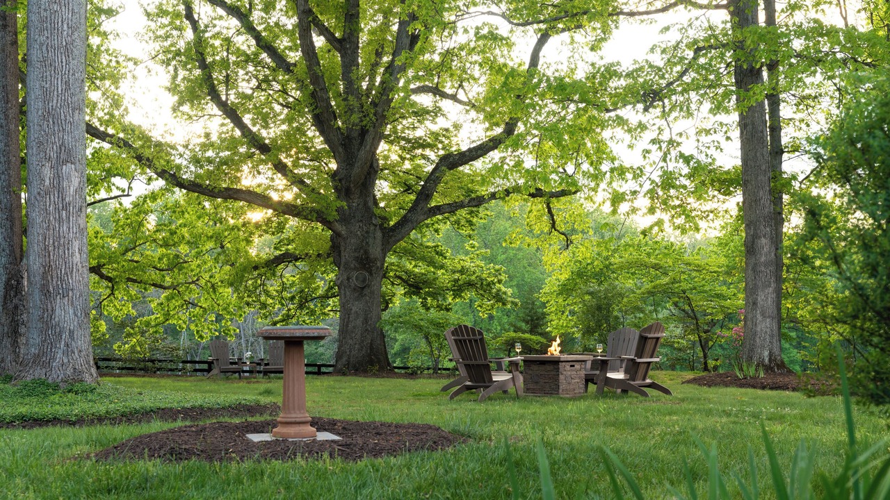 Photo of Outdoor in Charlottesville