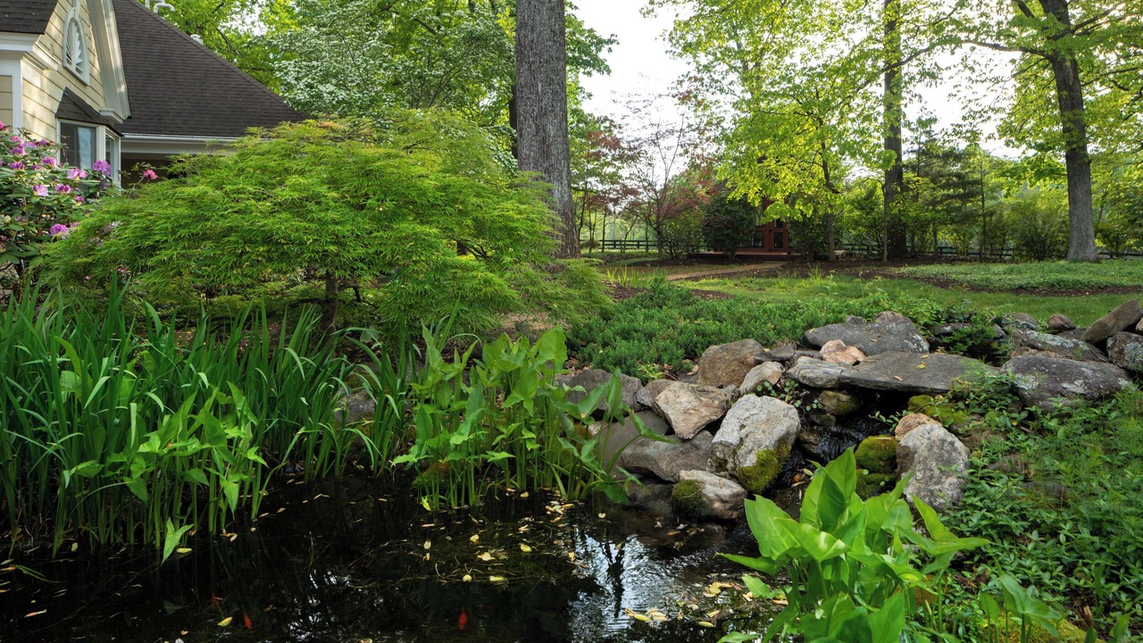 Photo of Outdoor in Charlottesville
