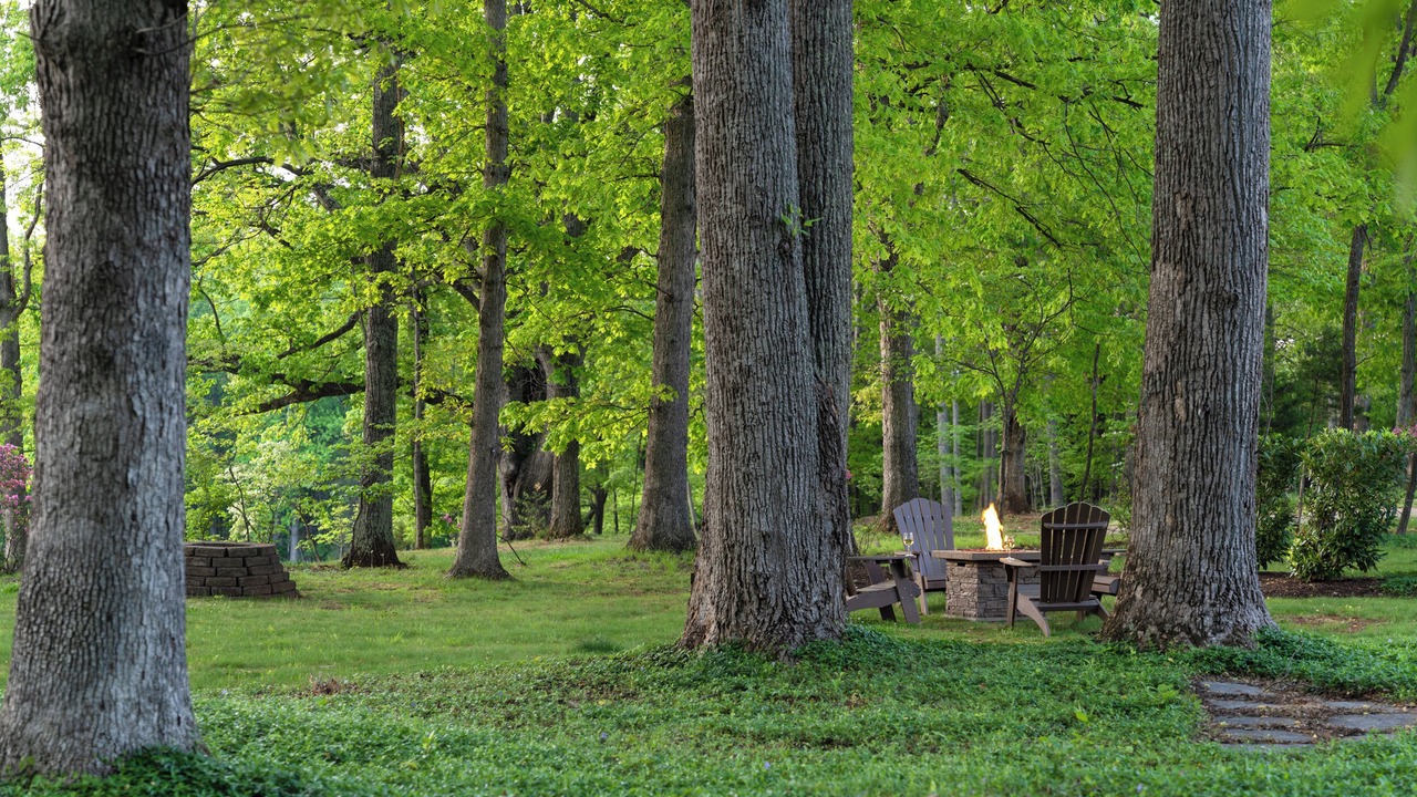 Photo of Outdoor in Charlottesville