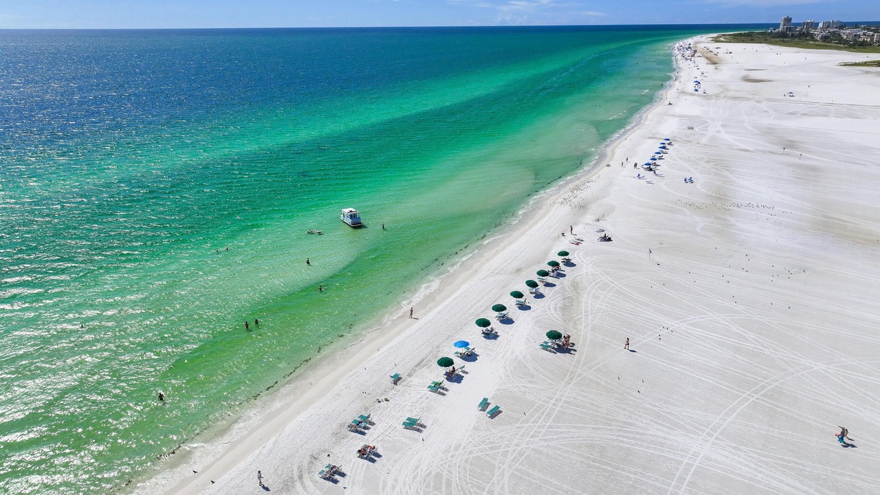 Photo of Others in Siesta Key