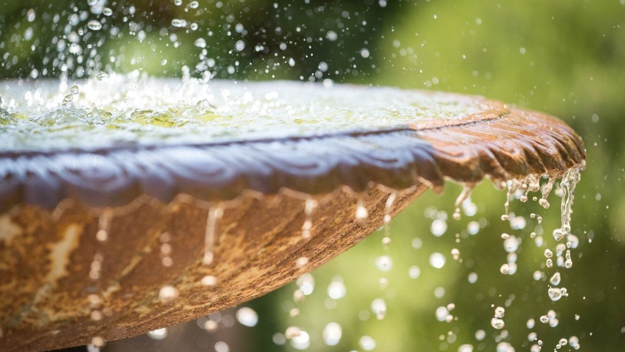 Photo of Outdoor in Taupont