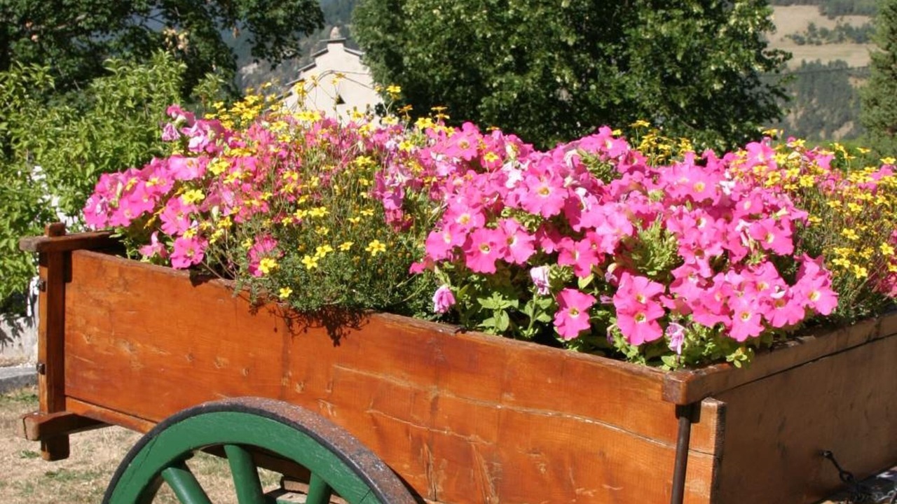 Photo of Outdoor in Villard-de-Lans