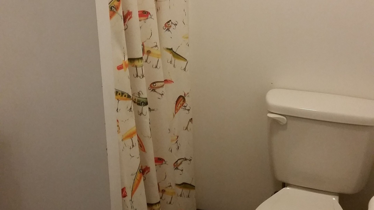 Photo of Bathroom in Altmar
