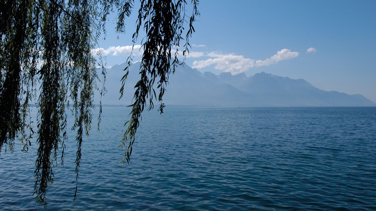 Photo of Outdoor in Territet