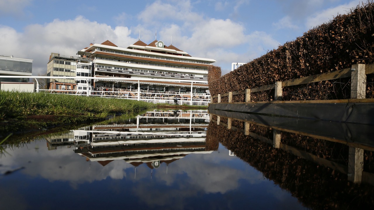 Photo of Others in Newbury