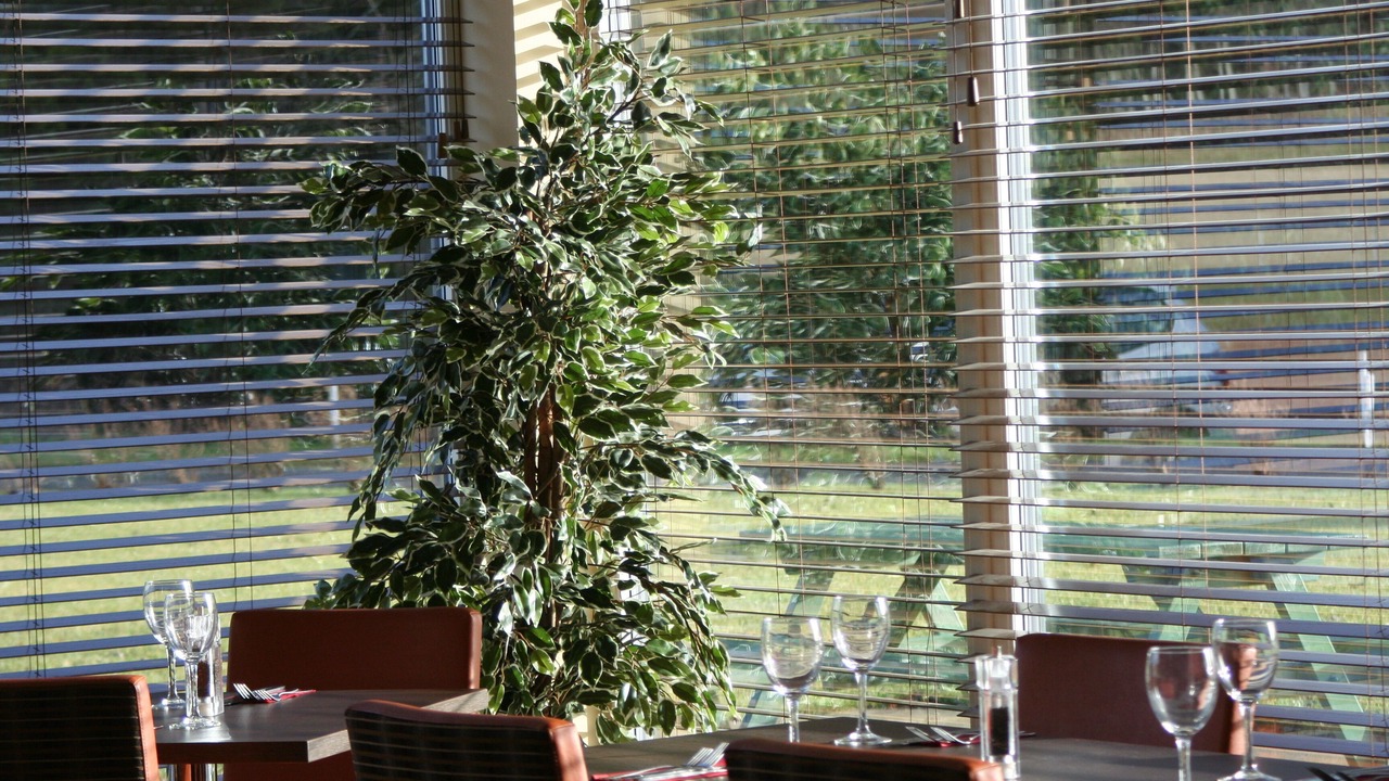 Photo of Others in Perth