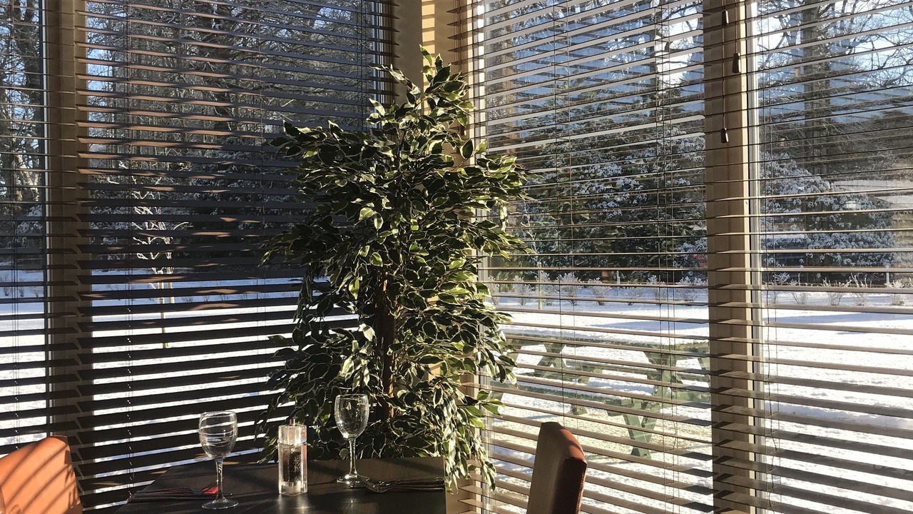 Photo of Others in Perth