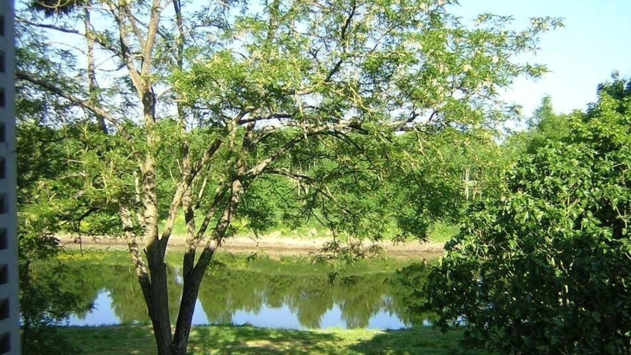 Photo of Bathroom in Cheffes