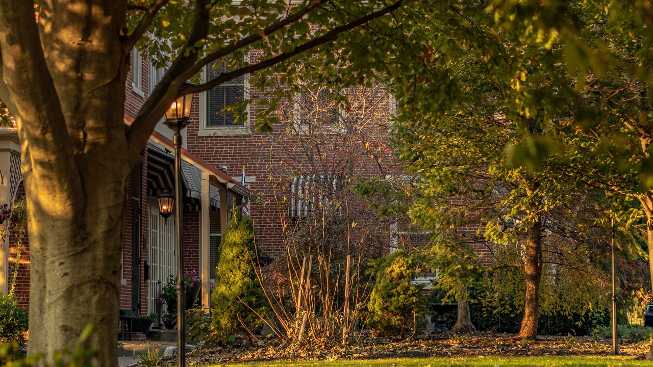 Photo of Outdoor in Campbelltown