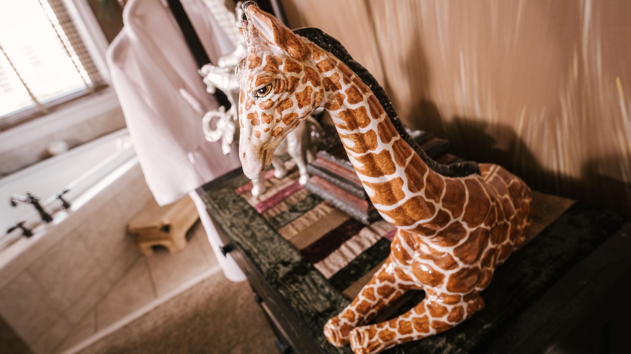 Photo of Others in Campbelltown