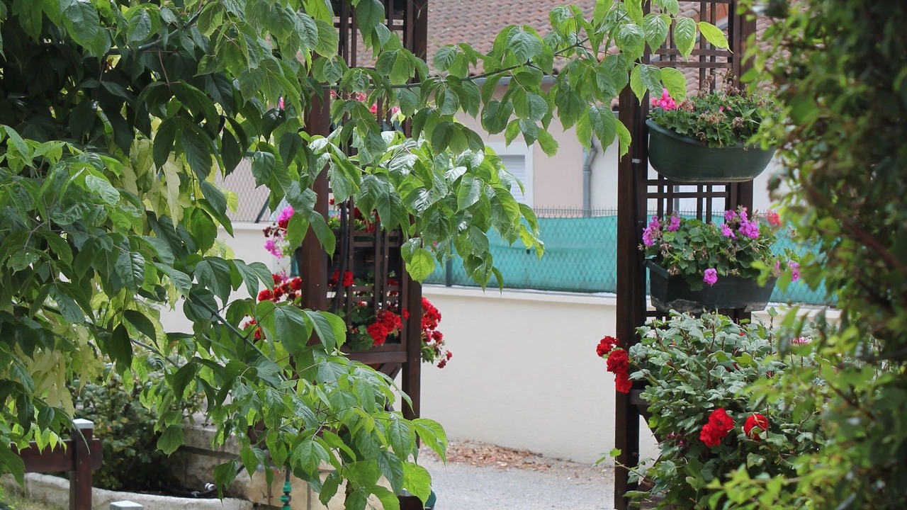 Photo of Outdoor in Chauvigny