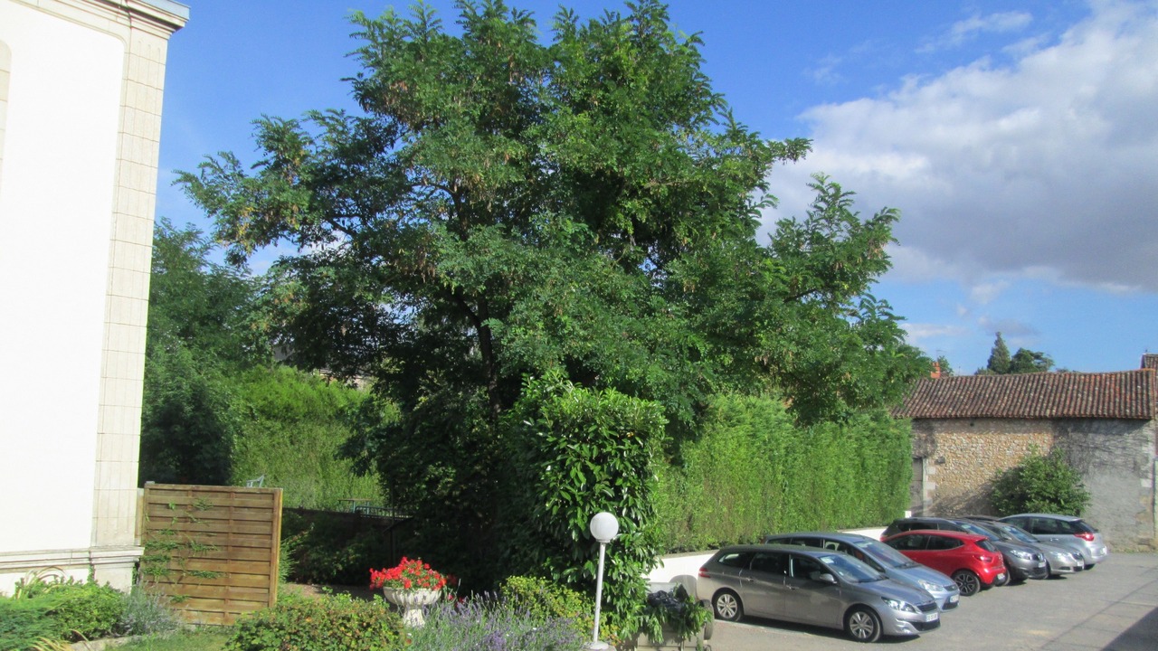 Photo of Others in Chauvigny