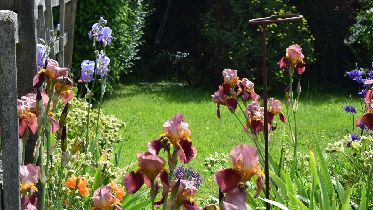 Photo of Outdoor in Sittingbourne