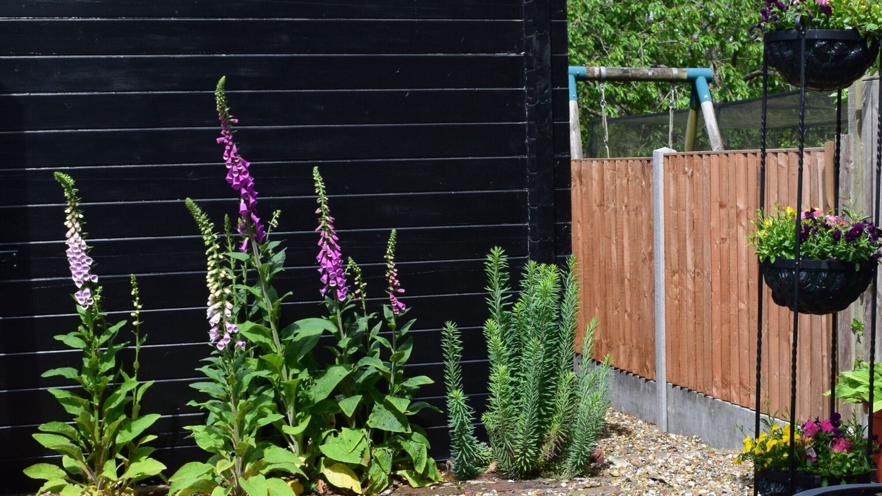 Photo of Outdoor in Sittingbourne