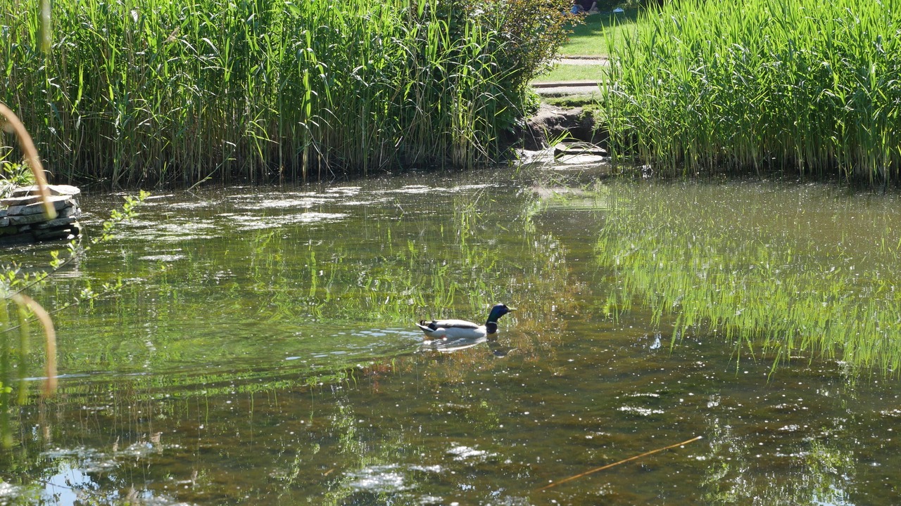 Photo of Others in Chester