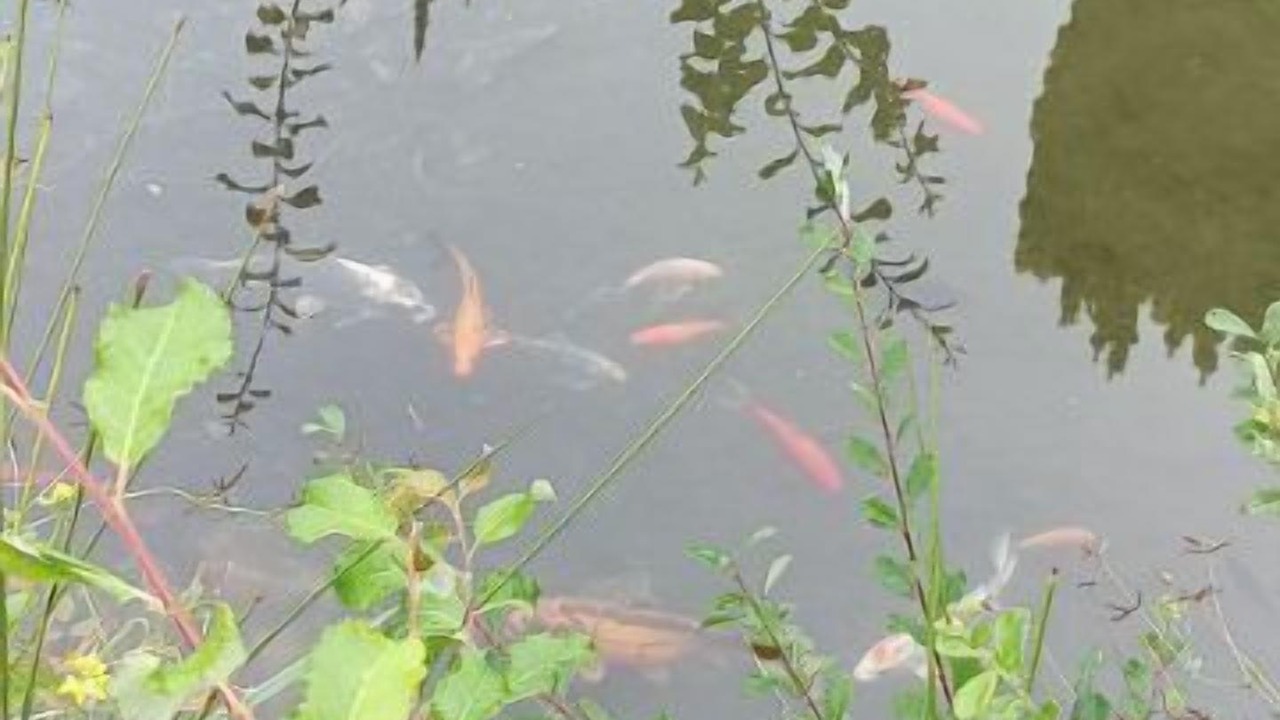 Photo of Outdoor in Grandvillers