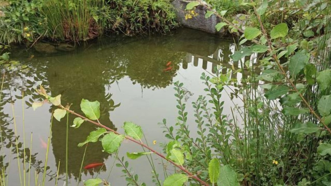 Photo of Outdoor in Grandvillers