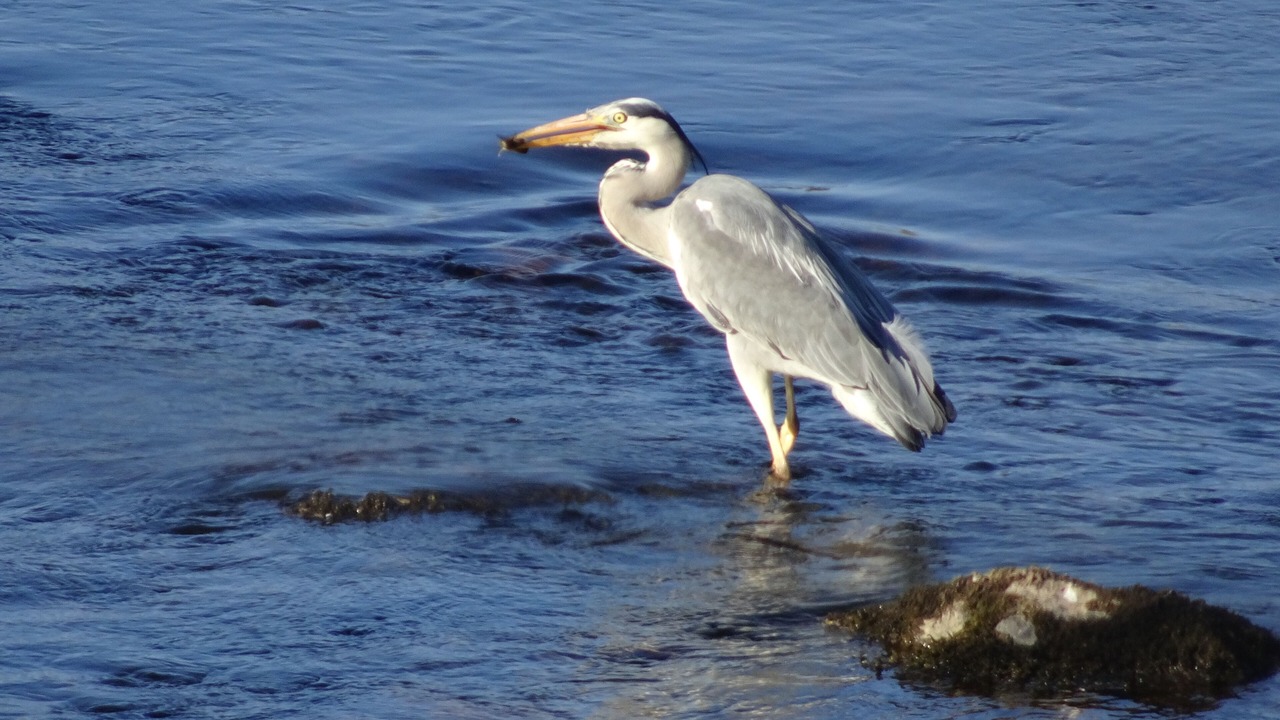 Photo of Outdoor in Newcastleton