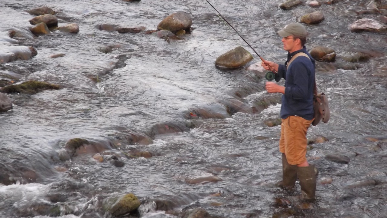 Photo of Others in Newcastleton