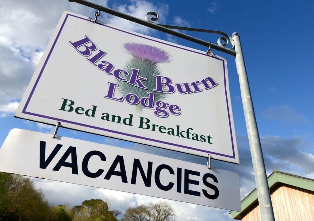 Photo of Others in Newcastleton