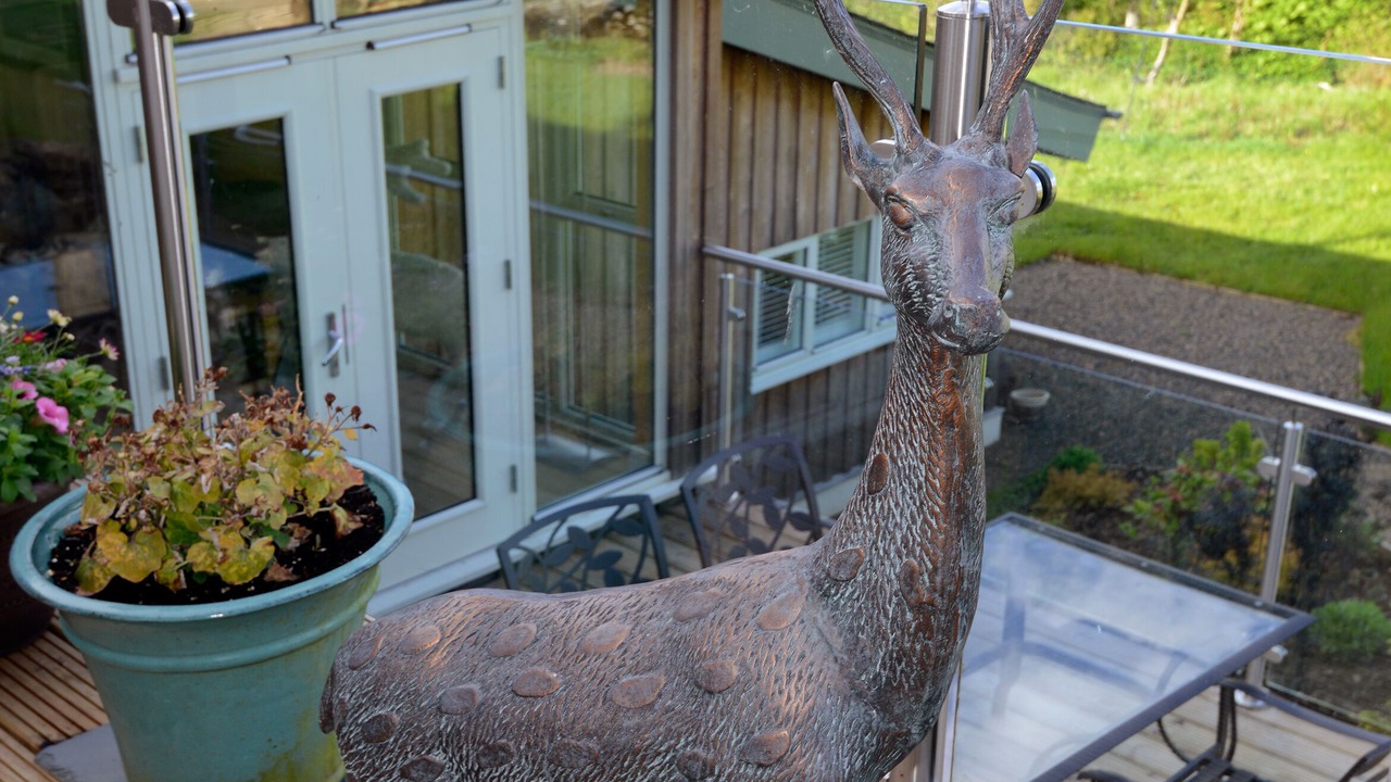 Photo of Others in Newcastleton